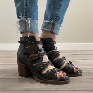 Freebird by Steven Quinn